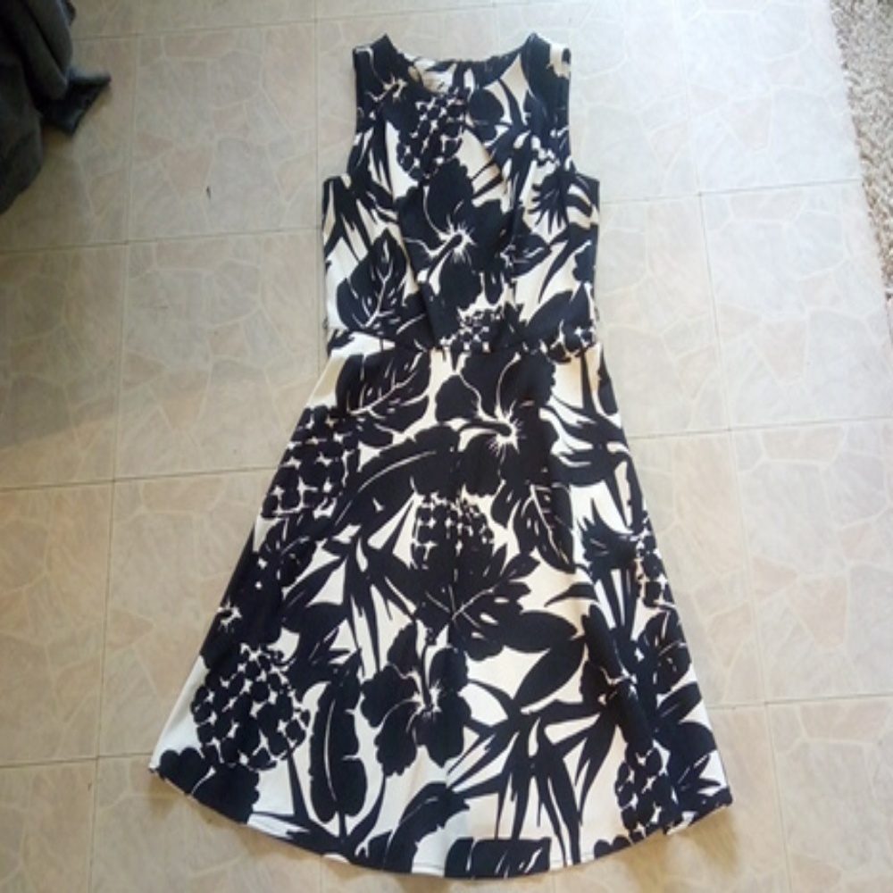 Dress Barn Signature Black Patterned Dress